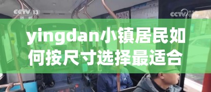yingdan小镇居民如何按尺寸选择最适合的公交座椅？详细指南与实用建议分享