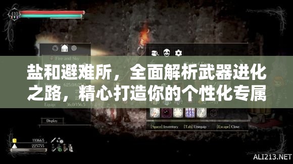 盐和避难所，全面解析武器进化之路，精心打造你的个性化专属神兵