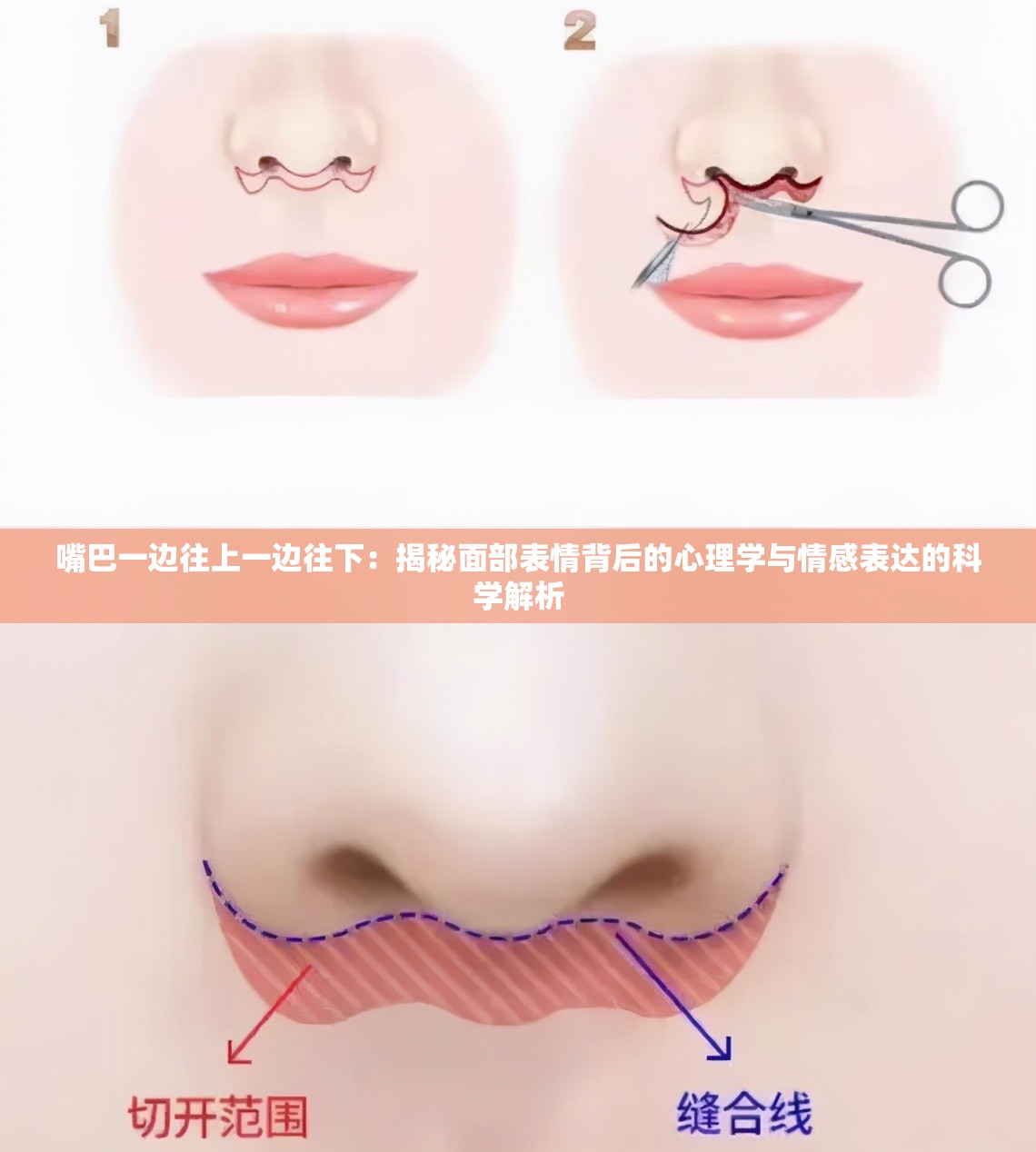 嘴巴一边往上一边往下：揭秘面部表情背后的心理学与情感表达的科学解析