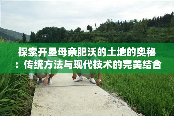 探索开垦母亲肥沃的土地的奥秘：传统方法与现代技术的完美结合