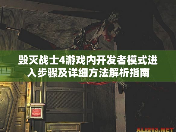 毁灭战士4游戏内开发者模式进入步骤及详细方法解析指南