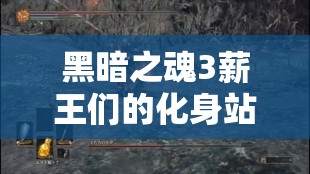 黑暗之魂3薪王们的化身站桩打法攻略，手残党也能轻松通关的终极策略