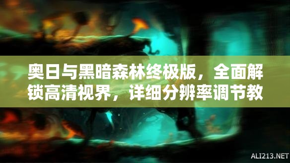 奥日与黑暗森林终极版，全面解锁高清视界，详细分辨率调节教程大揭秘