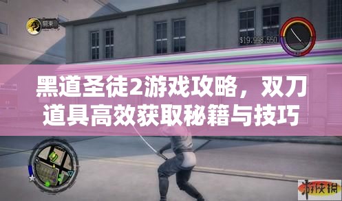黑道圣徒2游戏攻略，双刀道具高效获取秘籍与技巧全面大公开