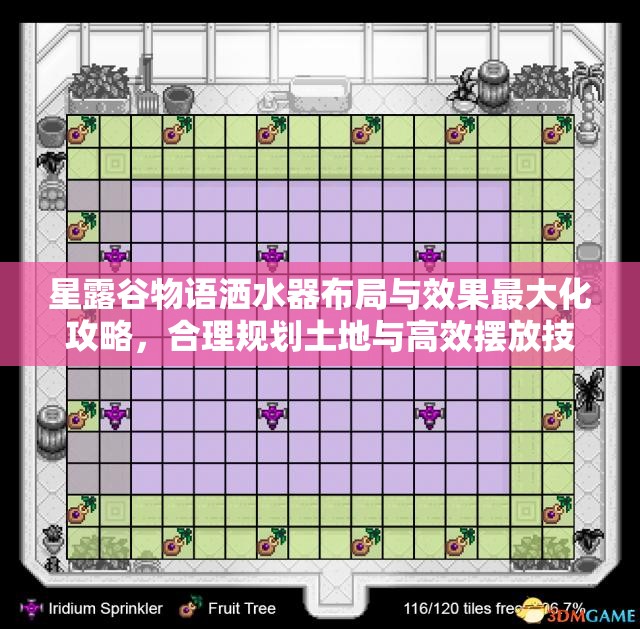 星露谷物语洒水器布局与效果最大化攻略，合理规划土地与高效摆放技巧