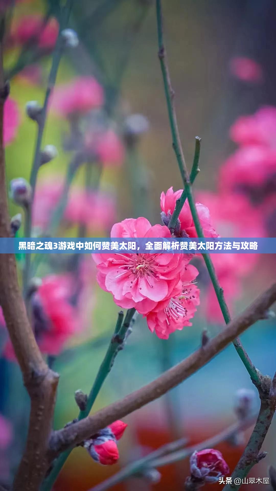 黑暗之魂3游戏中如何赞美太阳，全面解析赞美太阳方法与攻略