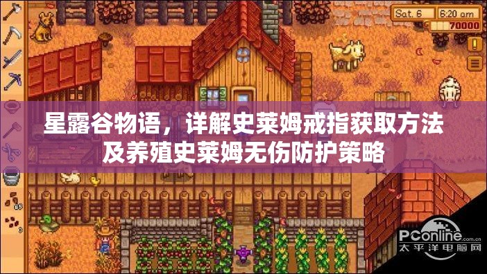 星露谷物语，详解史莱姆戒指获取方法及养殖史莱姆无伤防护策略