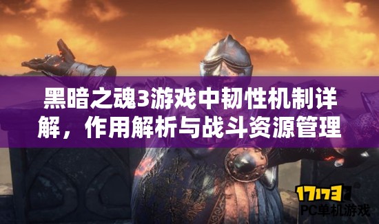 黑暗之魂3游戏中韧性机制详解，作用解析与战斗资源管理策略
