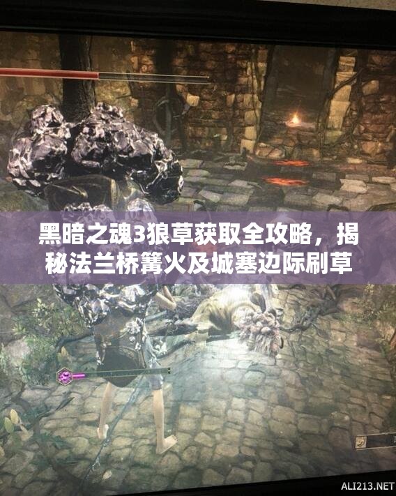 黑暗之魂3狼草获取全攻略，揭秘法兰桥篝火及城塞边际刷草圣地
