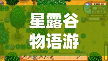 星露谷物语游戏高清视界开启指南，全面解析分辨率设置全攻略