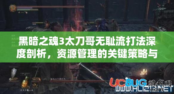 黑暗之魂3太刀哥无耻流打法深度剖析，资源管理的关键策略与实战应用