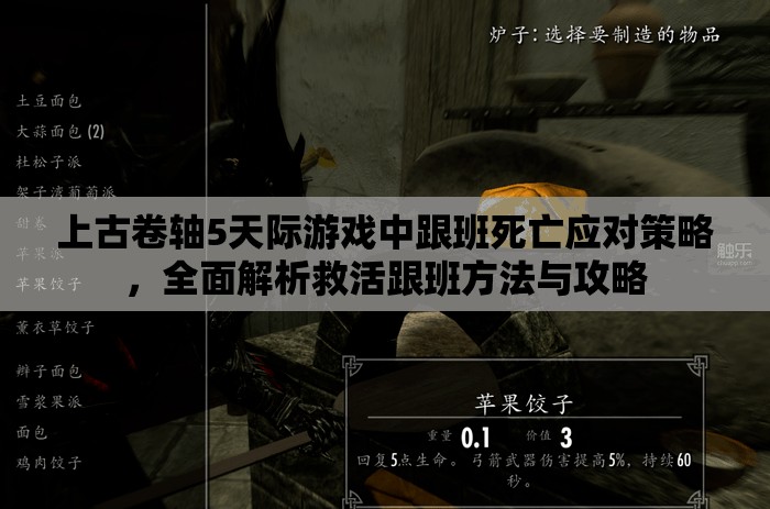 上古卷轴5天际游戏中跟班死亡应对策略，全面解析救活跟班方法与攻略