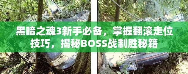 黑暗之魂3新手必备，掌握翻滚走位技巧，揭秘BOSS战制胜秘籍