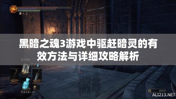黑暗之魂3游戏中驱赶暗灵的有效方法与详细攻略解析