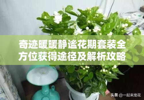 奇迹暖暖静谧花期套装全方位获得途径及解析攻略