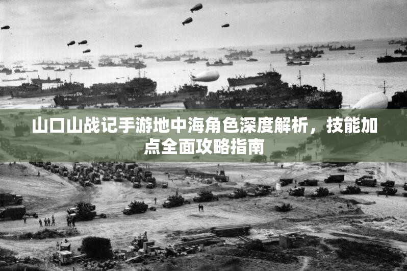 山口山战记手游地中海角色深度解析，技能加点全面攻略指南