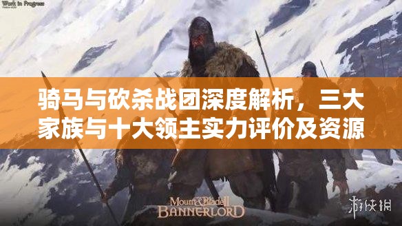 骑马与砍杀战团深度解析，三大家族与十大领主实力评价及资源管理艺术