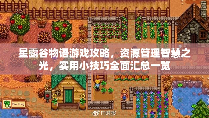 星露谷物语游戏攻略，资源管理智慧之光，实用小技巧全面汇总一览