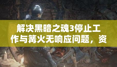 解决黑暗之魂3停止工作与篝火无响应问题，资源管理技巧与重要性探讨