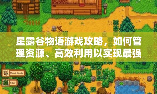 星露谷物语游戏攻略，如何管理资源、高效利用以实现最强戒指价值最大化