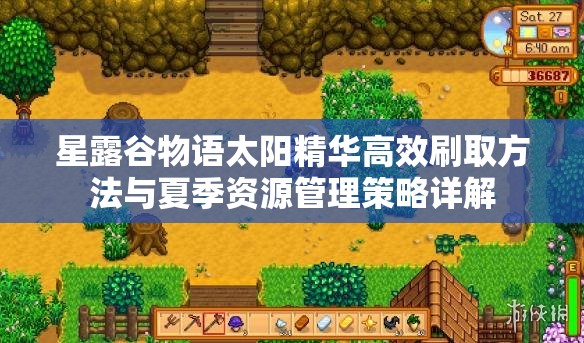 星露谷物语太阳精华高效刷取方法与夏季资源管理策略详解
