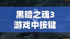 黑暗之魂3游戏中按键突然失灵？别担心，这里有快速解决的高效妙招！