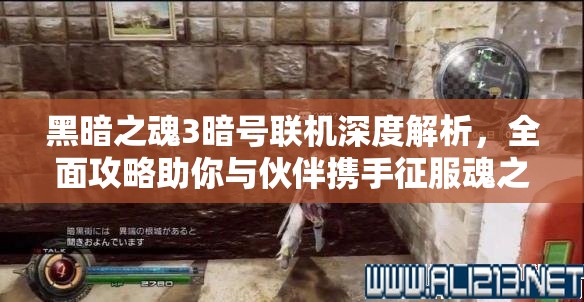 黑暗之魂3暗号联机深度解析，全面攻略助你与伙伴携手征服魂之世界