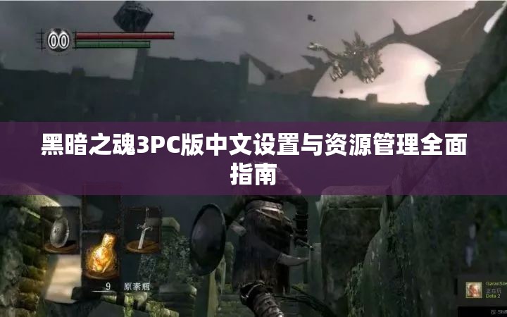 黑暗之魂3PC版中文设置与资源管理全面指南