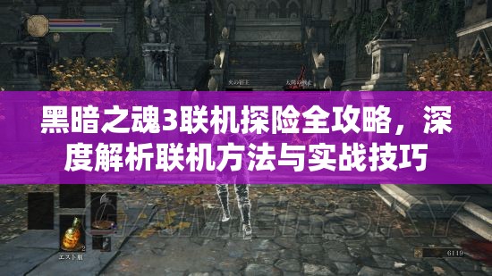 黑暗之魂3联机探险全攻略，深度解析联机方法与实战技巧