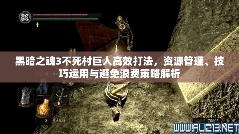 黑暗之魂3不死村巨人高效打法，资源管理、技巧运用与避免浪费策略解析