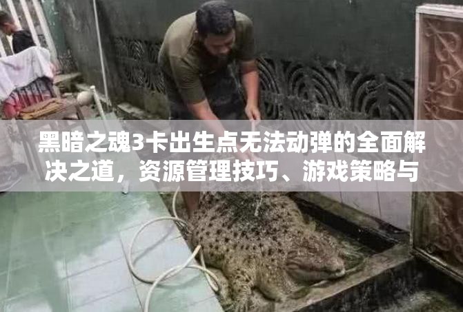 黑暗之魂3卡出生点无法动弹的全面解决之道，资源管理技巧、游戏策略与实用技巧指南