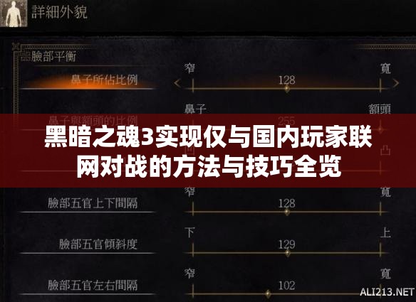 黑暗之魂3实现仅与国内玩家联网对战的方法与技巧全览