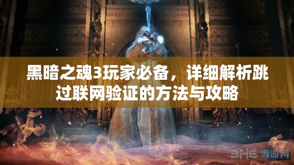 黑暗之魂3玩家必备，详细解析跳过联网验证的方法与攻略