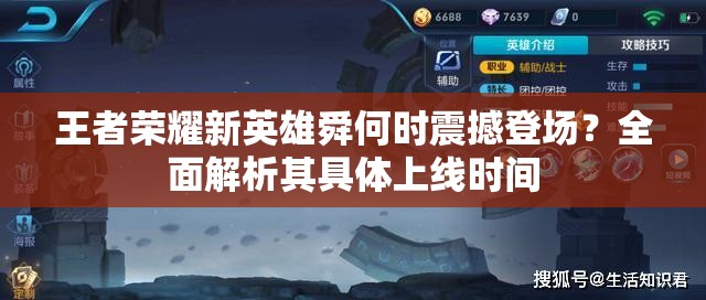 王者荣耀新英雄舜何时震撼登场？全面解析其具体上线时间