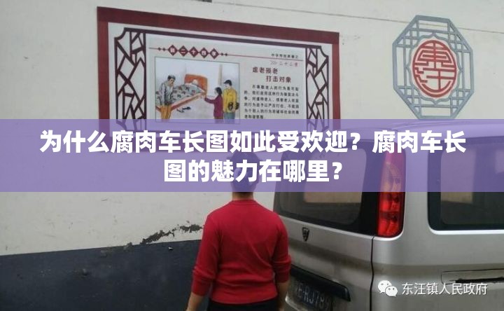 为什么腐肉车长图如此受欢迎？腐肉车长图的魅力在哪里？