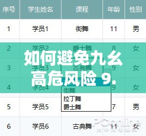 如何避免九幺高危风险 9.1 免费版安装中的坑？教你几招轻松搞定
