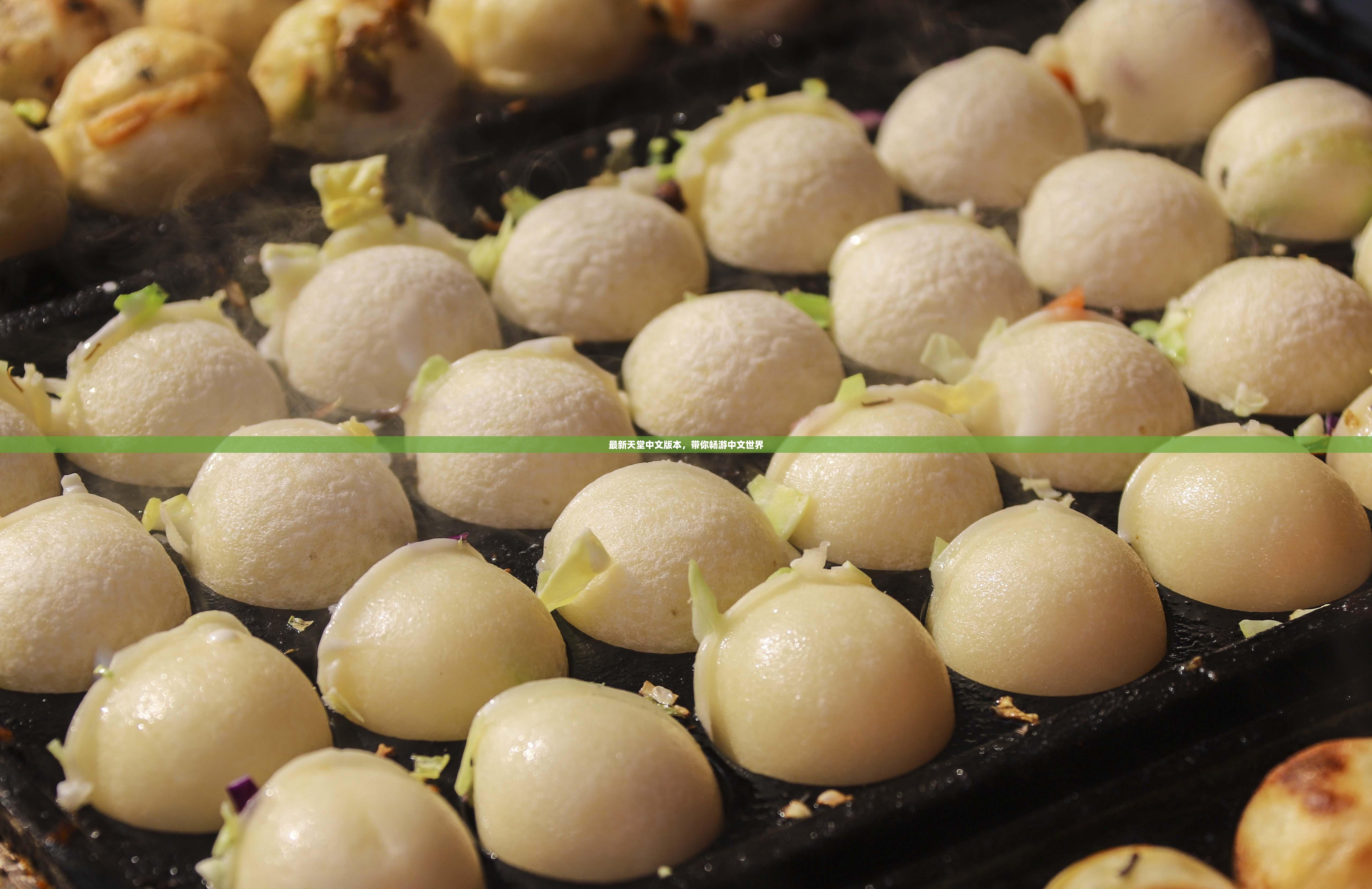 最新天堂中文版本，带你畅游中文世界