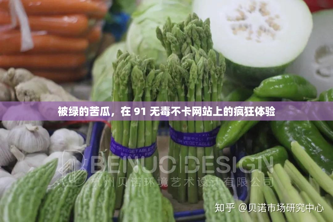 被绿的苦瓜，在 91 无毒不卡网站上的疯狂体验