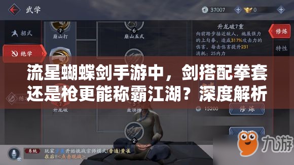 流星蝴蝶剑手游中，剑搭配拳套还是枪更能称霸江湖？深度解析揭秘！