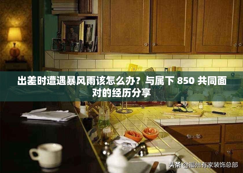 出差时遭遇暴风雨该怎么办？与属下 850 共同面对的经历分享