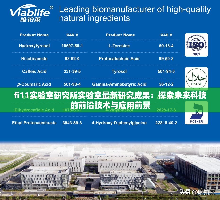 fi11实验室研究所实验室最新研究成果：探索未来科技的前沿技术与应用前景
