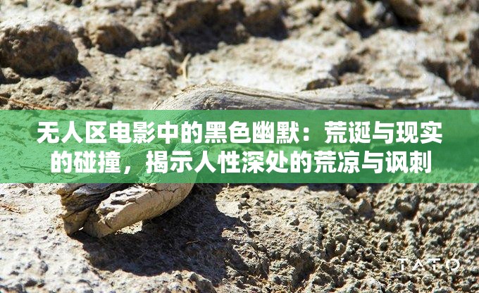 无人区电影中的黑色幽默：荒诞与现实的碰撞，揭示人性深处的荒凉与讽刺