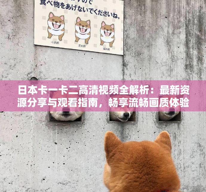 日本卡一卡二高清视频全解析：最新资源分享与观看指南，畅享流畅画质体验