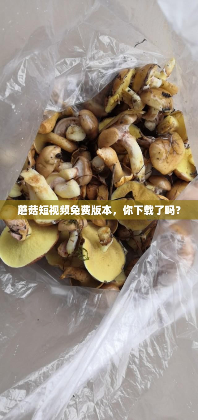蘑菇短视频免费版本，你下载了吗？