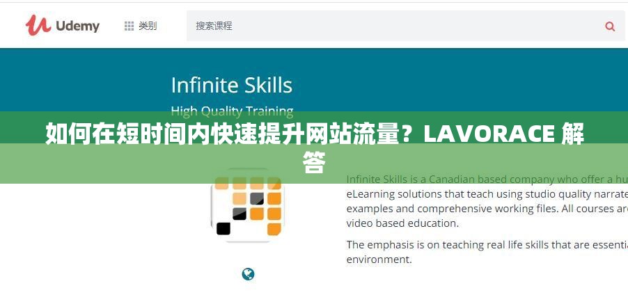 如何在短时间内快速提升网站流量？LAVORACE 解答