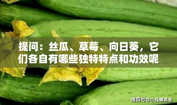 提问：丝瓜、草莓、向日葵，它们各自有哪些独特特点和功效呢？