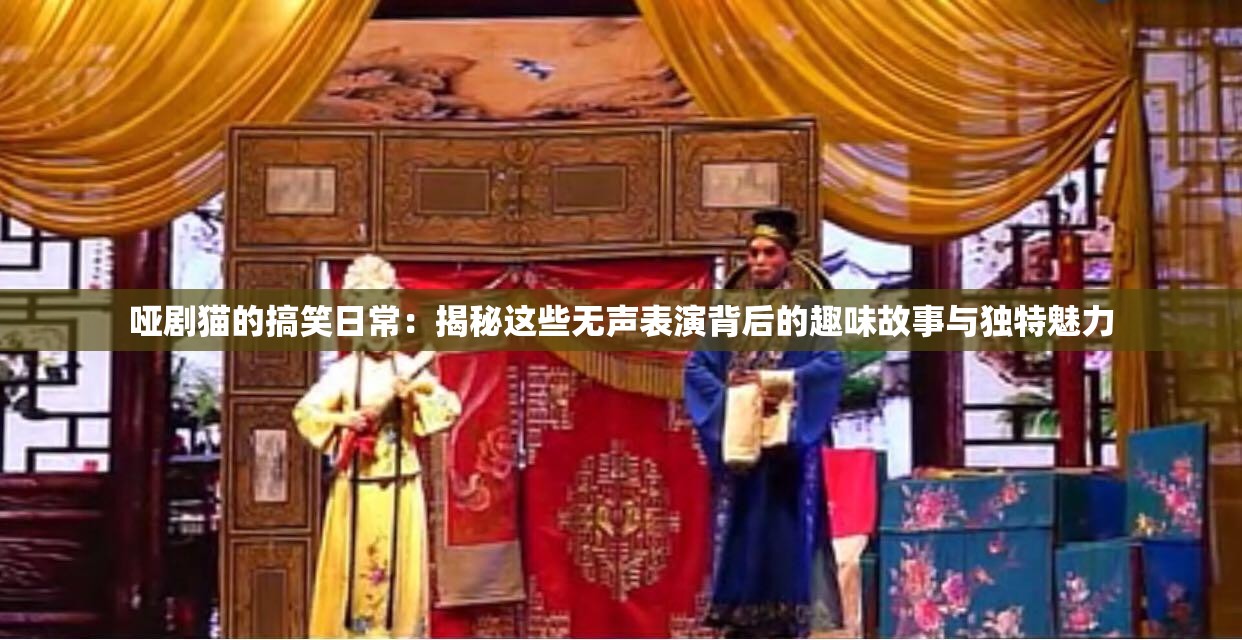 哑剧猫的搞笑日常：揭秘这些无声表演背后的趣味故事与独特魅力