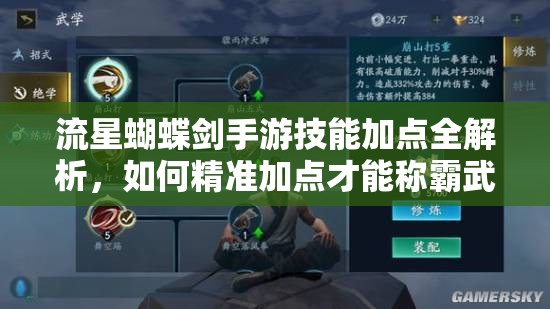 流星蝴蝶剑手游技能加点全解析，如何精准加点才能称霸武林江湖？