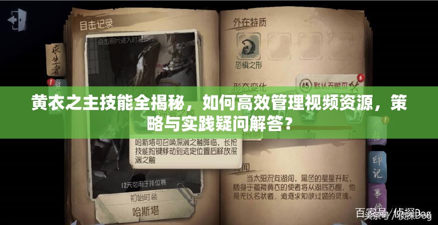 黄衣之主技能全揭秘，如何高效管理视频资源，策略与实践疑问解答？