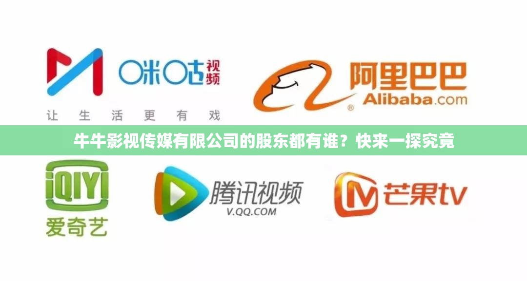 牛牛影视传媒有限公司的股东都有谁？快来一探究竟